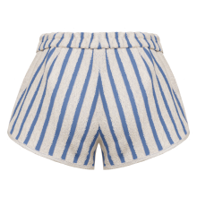 Navy Mini Shorts back